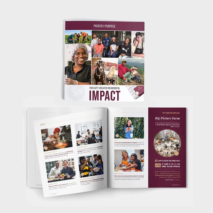 Impact_Booklet_1280x